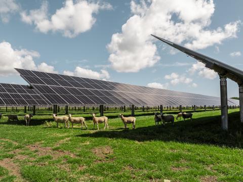 Lodestone Energy’s Solar Farm Program, courtesy of Lodestone